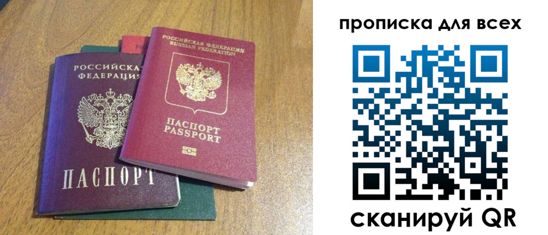 прописка гарантия в Кузнецке